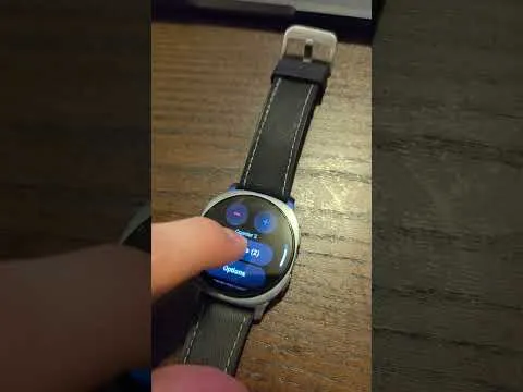 The Best Tally Counter for Wear OS?